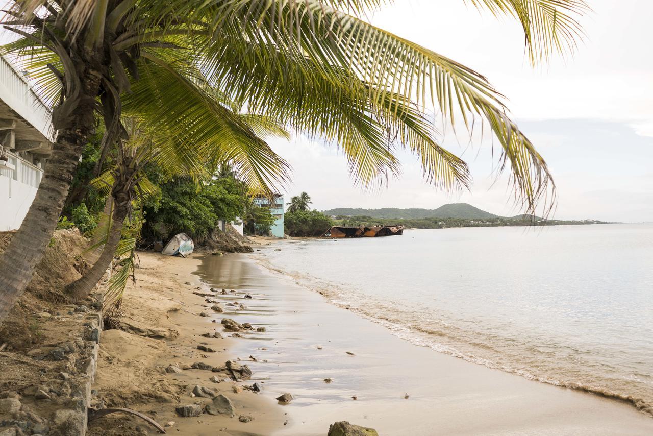 The Wave Hotel Vieques Zewnętrze zdjęcie